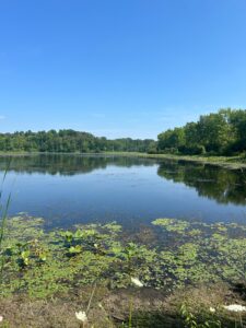 PHOTO-2025-07-21-17-23-05 3