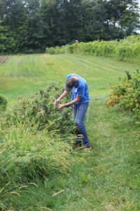 PHOTO-2025-08-13-15-00-55 2